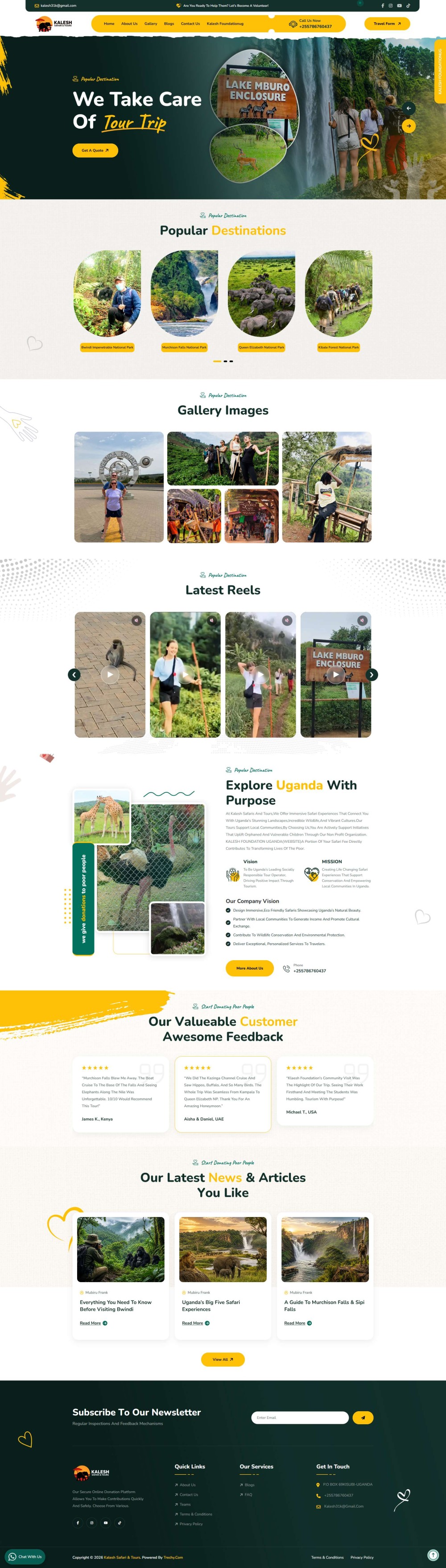 Website Preview