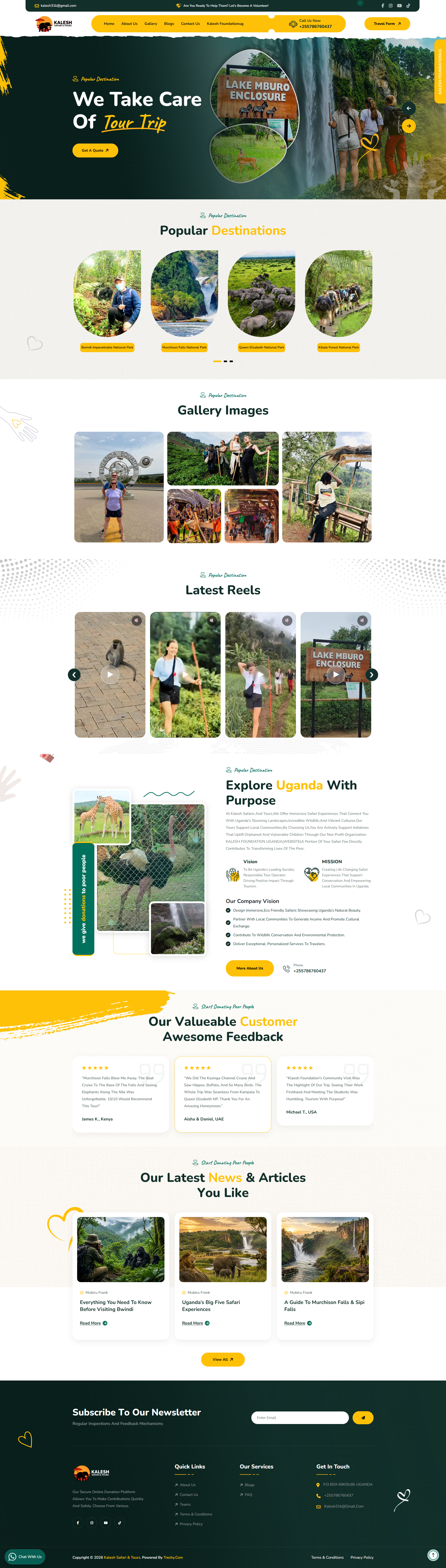 Website Preview